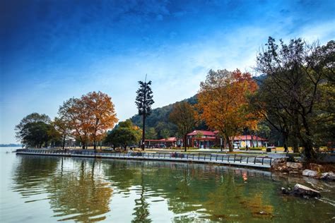 武漢有哪些特色公園：在這座歷史與現代交融的城市中，公園不僅是人們休閒娛樂的好去處，更是探討城市文化、生態保護與環境美化的重要場所。